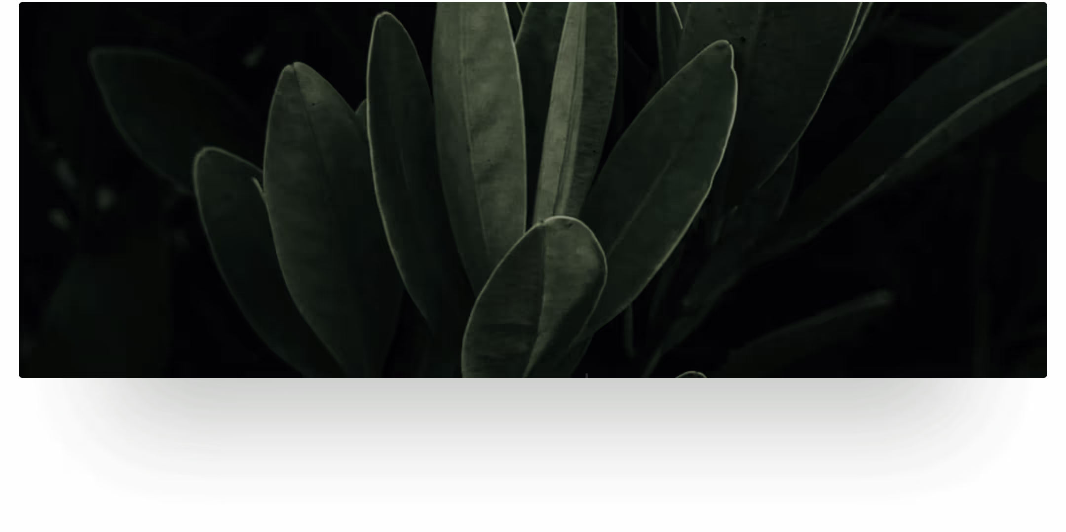 Plants